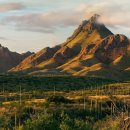 BLACK PINE RESORT 이미지