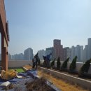수송한방병원 | 군산 옥상정원 조경: 노블한방병원 시공 [방플라워가든]