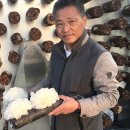 김동열농장 네이버블로그