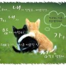 소중