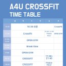 크로스핏A4U 이미지