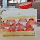 손거미 | 대구 왕거미식당 후기｜뭉티기 양념 리필까지! 오드레기에 반한 내돈내산 맛집