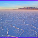 빛과소금 이미지