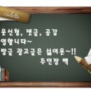 멍멍미장원 이미지