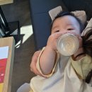 (주)코리아나화장품원주무실점 | 원주무실점 쿠우쿠우 솔직후기! 먹고 시장 구경하니 딱 좋았던 코스