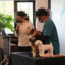 보람동물병원 이미지