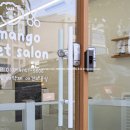 망고네 펫 살롱 이미지