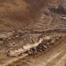 원성골재 이미지