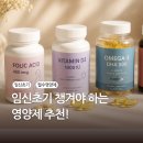 흰여울팜 | 임신초기 영양제 | 딱 4가지로 정리!