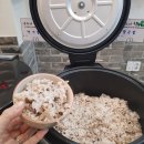 채식향기 이미지