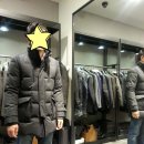 현대무역질스튜어트