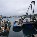 하얀둥지펜션 이미지