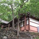 칠갑산자연휴양림 Daum카페