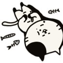 일품당샤브샤브 이미지