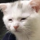 CU 구월성공점 | [인천 방탈출] 똥 쌀뻔...ㅠㅠ 구월동 둠이스케이프 1호점 "나폴리탄" 후기