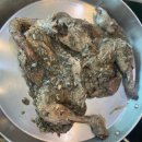 부모님 모시고 가기 좋은 가창 백숙 맛집 큰나무집 궁중약백숙