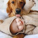 아이사랑의원 이미지