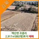 참신한공인중개사사무소 이미지