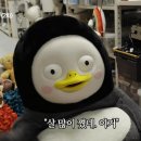 고고헬스