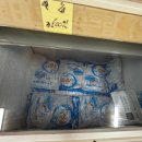밀양패밀리성공이룸 | 급하게 떠난 벚꽃 캠핑의 결말: 입구 벚꽃 구경으로 만족해야 했던 밀양패밀리캠핑장의 주말