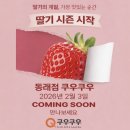 홈플러스(주) 동래점 | [동래맛집] 쿠우쿠우 부산 동래점 딸기시즌 후기 | 온천장역 근처 뷔페 추천 | 설연휴 정상영업