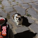 세븐일레븐 경주양북점 | [경북/경주] 감포 '나정고운모래해변 오토캠핑장' 차박 카라반 / 샤워실 / 감포해수탕