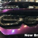 차크닉멀티샵 이미지