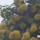 신명공인중개사사무소 이미지