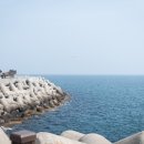 파도대게 | 영덕대게축제 제대로 즐기기｜대게라면, 체험부스, 이벤트, 사진 스팟 후기 꿀팁