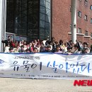 문성초교 이미지