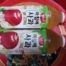 고려이용소 Daum카페