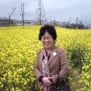 꽃밭교회 이미지