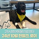 로이동물병원 이미지