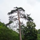 나들이쉼터 이미지