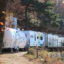 돼지문화원 카라반 이미지