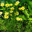 우리파크 이미지