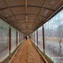 감일문화공원 이미지