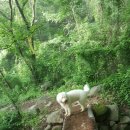 둘레길3코스민박 이미지