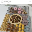 취향저견 이미지