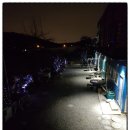 일영펜션 이미지