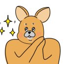 카페살뤼