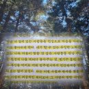 태도에 관하여 책 | 임경선 책 후기 | 지금 내 곁의 진심인 사람이면 충분합니다 추천 리뷰 핵심 요약