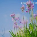 청통면종합복지타운 | 믿을 수 있는 일산서구 요양원 추천 홀트일산복지타운요양원종합체육관 전문성 있는 요양원