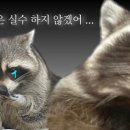 백영걸치과의원 이미지