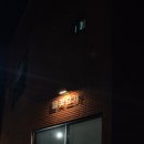 들꽃요가
