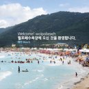 월포해수욕장 이미지