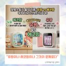 에코맘 | 유팡젖병소독기 LED 모델 에코맘 솔직 비교 내돈내산 후기