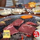 제주스타종합관리 | [솔직후기] 제주공항근처고기집 태연종합정육식당, 가성비 내리는 제주소고기맛집 발견!