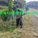 남항진동 이미지