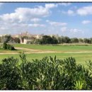 세종로행정사사무소 이미지